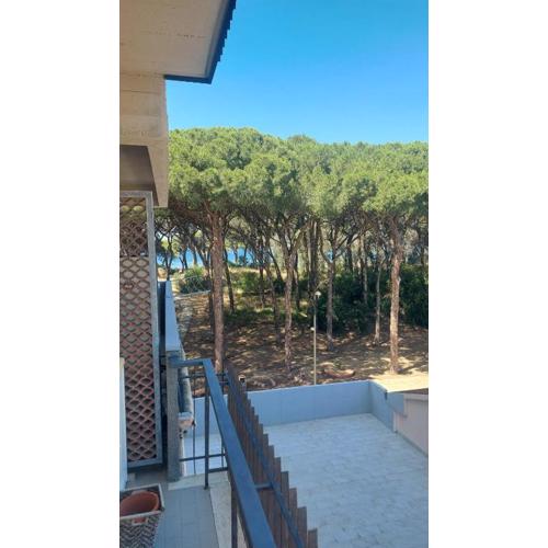 Appartamento Morelli Beach - Via delle Collacchie 53