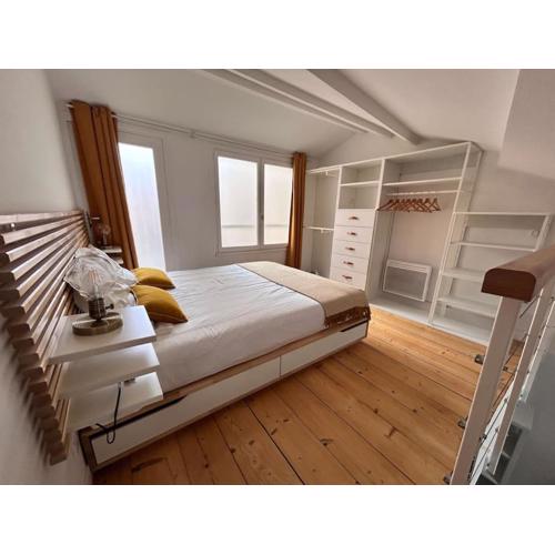 Appartement - Carmes