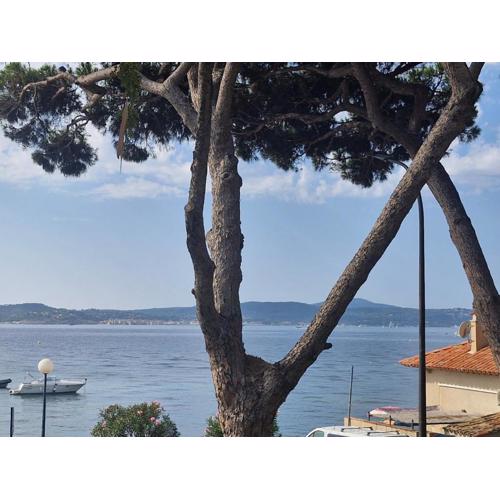 Appartement 2 pièces, vue mer, près port, 4 pers, parking, ascenseur, Sainte-Maxime - FR-1-780-51