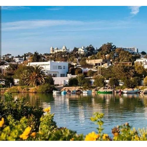 Appartement à Carthage byrsa