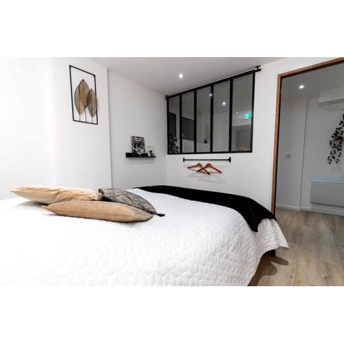 Appartement atypique et cosy centre-ville