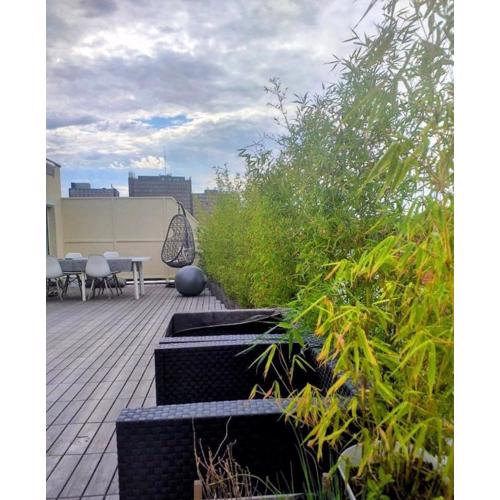 Appartement avec terrasse 50m2 dernier étage Strasbourg centre et proche gare