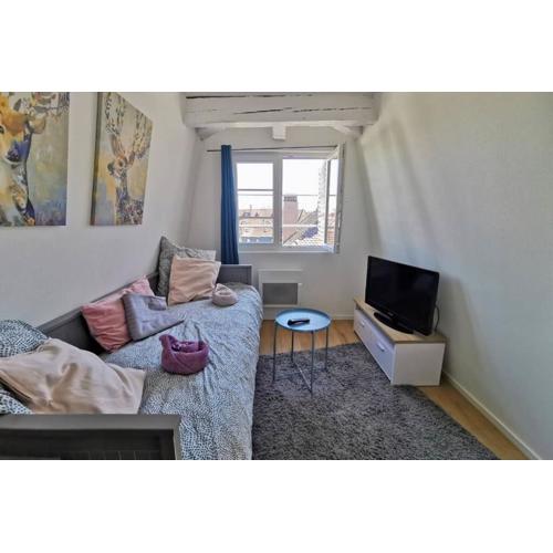 ** appartement cathédrale Strasbourg centre**