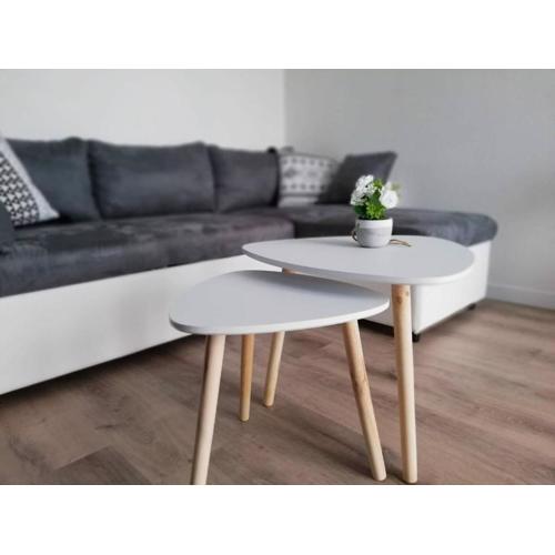 Appartement Cosy proche Météo France et Airbus
