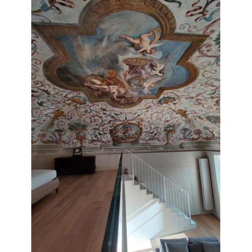 Appartement des Barons - Palais Ansermin - Dimora storica