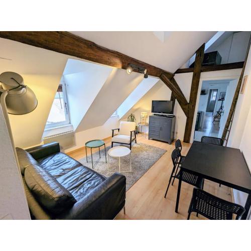 Appartement des Serruriers