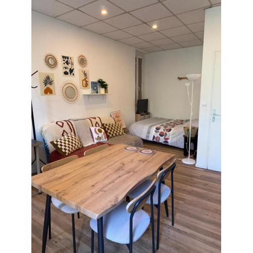 Appartement Gare Toulouse Matabiau Climatisé