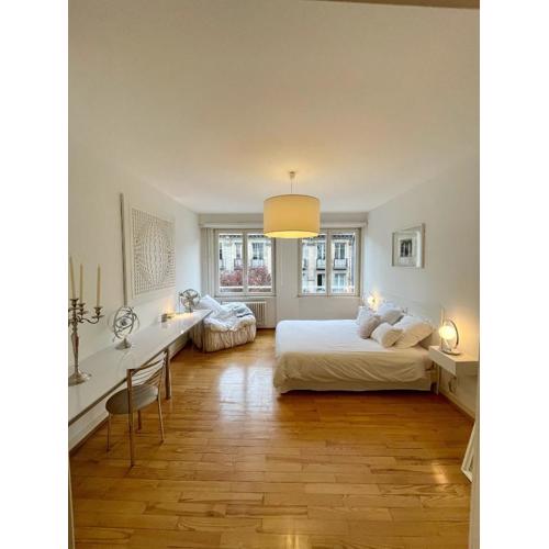 Appartement Hyper Centre Place Kléber 66 m2