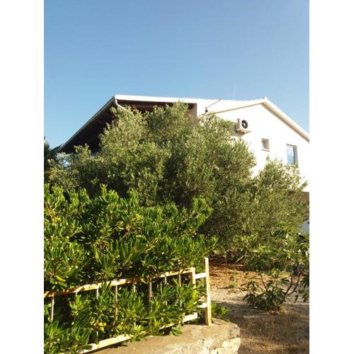 appartement Juras 2