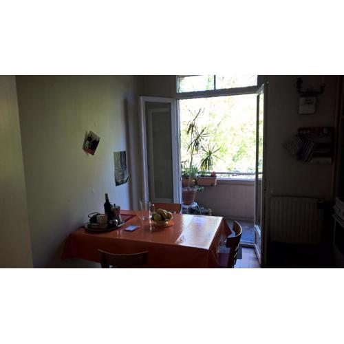 Appartement Matabiau