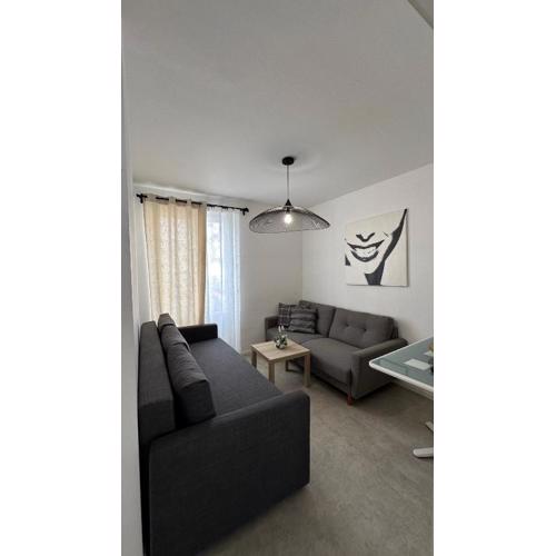Appartement neuf, centre-ville, 400m de rivetoile 6 voyageurs