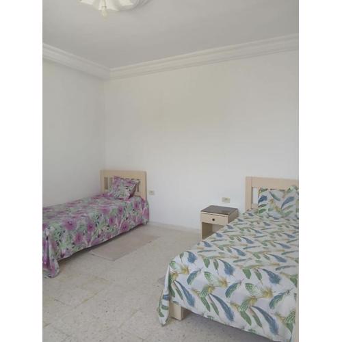 Appartement Palmiers Tezdaine