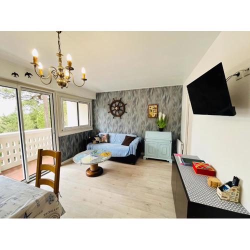 Appartement pinède et océan