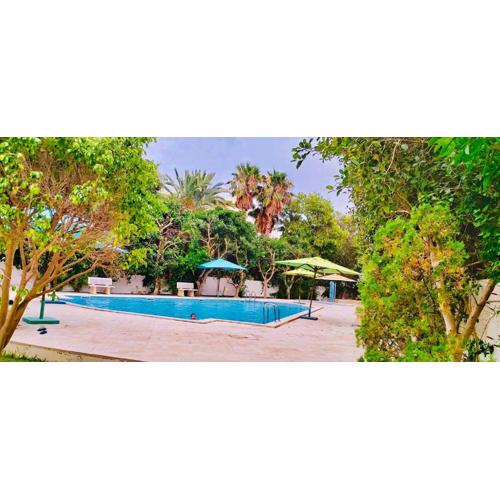 APPARTEMENT RAYHAN Yasmine Hammamet