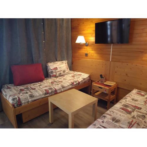 Appartement ski aux pieds, 4 pers, balcon, animaux admis - FR-1-181-2376