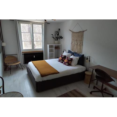 Appartement Spacieux et Cosy - Strasbourg Centre