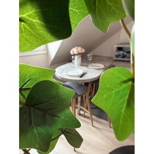Appartement Strasbourg Centre