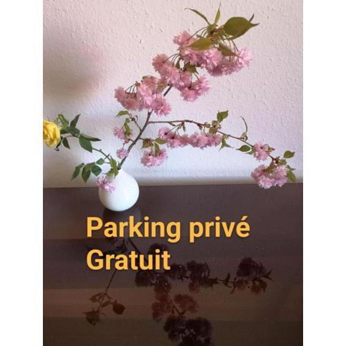 Appartement Zen Strasbourg center avec parking