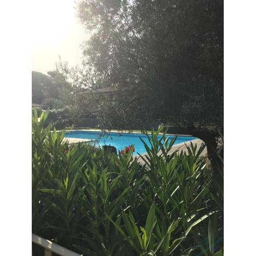 Appt T2 Standing avec Piscine et Terrasse