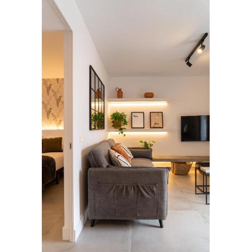 Apt The V Home