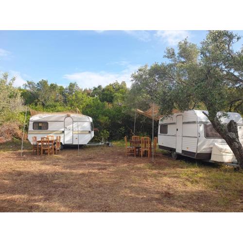 Aquariumi Jale Camping