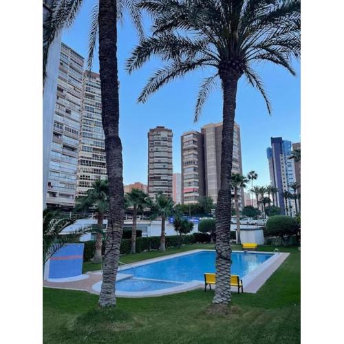 ARAS Apartamento Levante