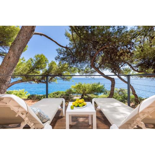 Arena Stoja Camping Homes