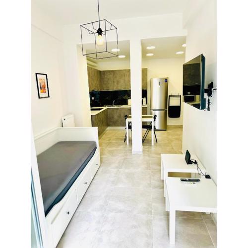 Ηarmony 2 apartment next to the Acropolis museum