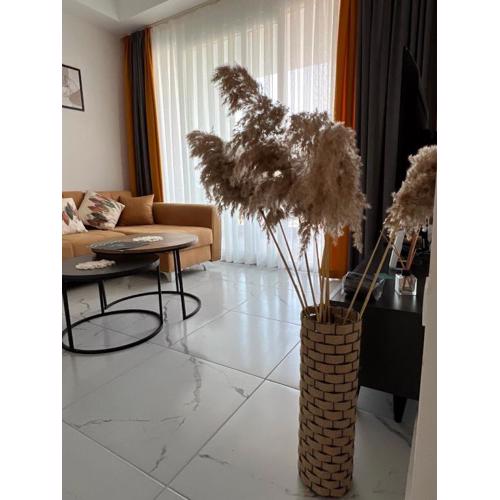 Art Life apartments BOHO