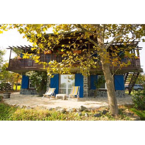 Art Provence House