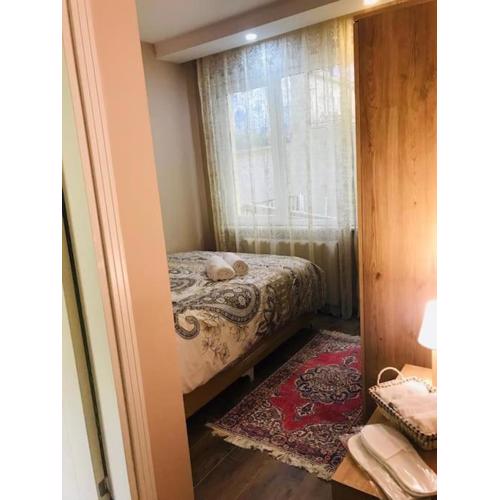 Arya one bedroom comfortable flat in Cihangir