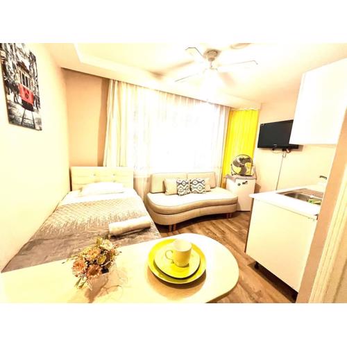 Arya studio flat in Cihangir 13