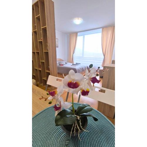 Aspen Golf Resort C207, free SPA
