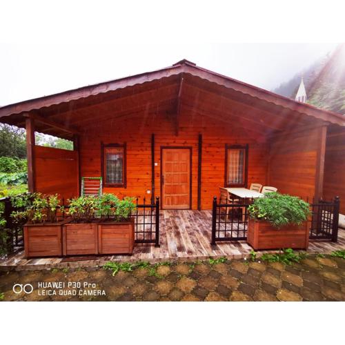Asproface Boutique Hotel