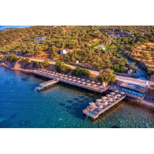 Assos Dionysos Special Class Hotel Adults Only 12 years