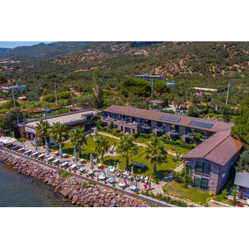 Assos Zeyti̇n Han Special Class Hotel Adults only 12