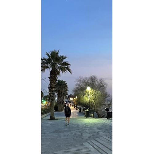 Athens Faliro Beach Residence