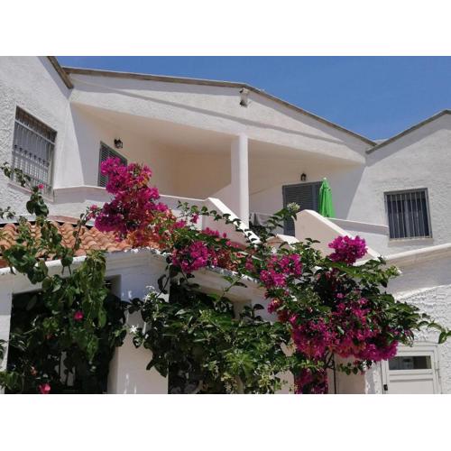 Attractive holiday flat Casa Gino with sea view
