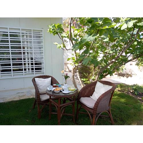 Au bout du jardin