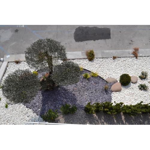 aura AR holiday-home