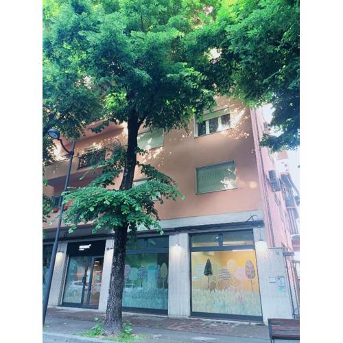 Aurora Rooms