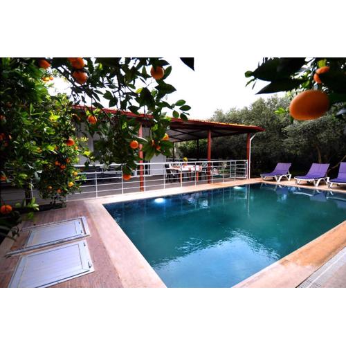 Avci Villa-Fethiye 3+1 in Garden with Private Pool, 10 minutes to the beach