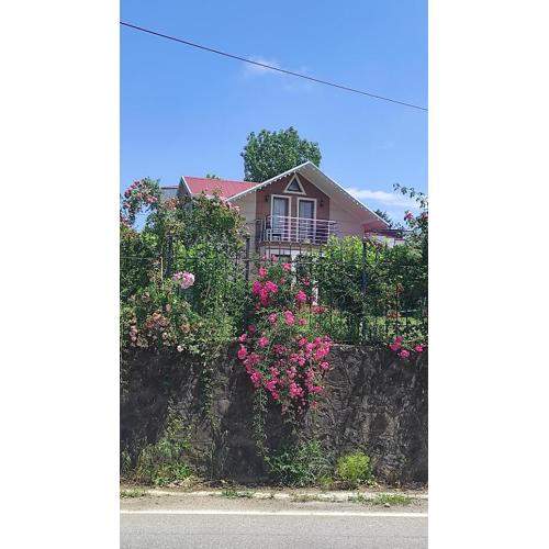 Aydınlar villa