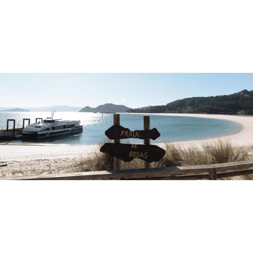Azalé Vigo