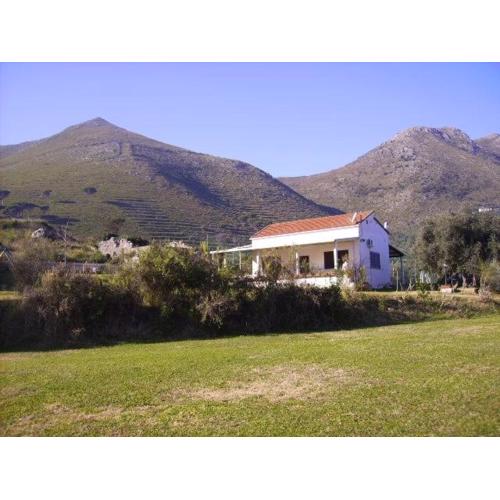 AZIENDA AGRICOLA 25 PONTI