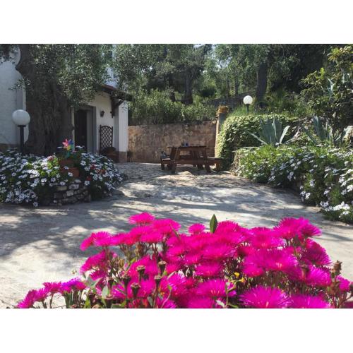 Azienda Agricola B&B Macchiaria
