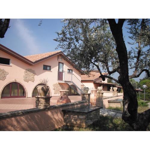 Azienda Vitivinicola Sergio Del Casale