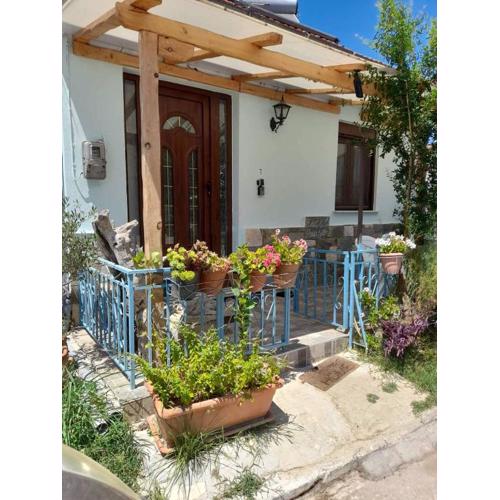 BACI HOUSE