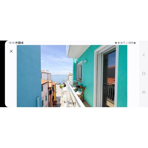 Bagatela suites and flat, Suite Tropical Dream