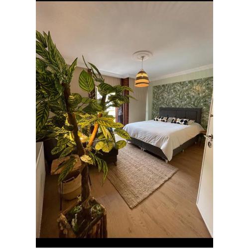 Balat old house apartments